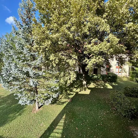 Apartment Luxus Golf
